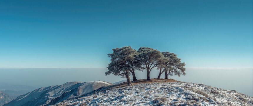 The cherished Cedars of Lebanon Nature Sanctuary in the mountains, preserved thanks to Queen Victoria, now symbolized on Lebanon's flag