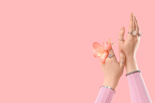 Female hands in silver bracelets and rings with beautiful flower on pink background