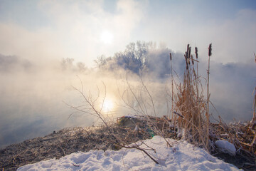 Winter scene with dry reeds on a snowy riverbank, and rising sun over foggy river.