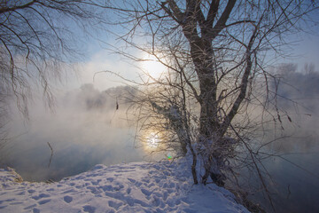 Winter scene with sun shining through tree branches, a snowy riverbank, and foggy river.