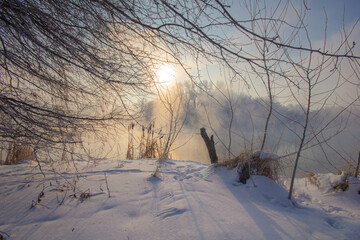 Winter scene with sun shining through tree branches on a snowy riverbank, and foggy river.
