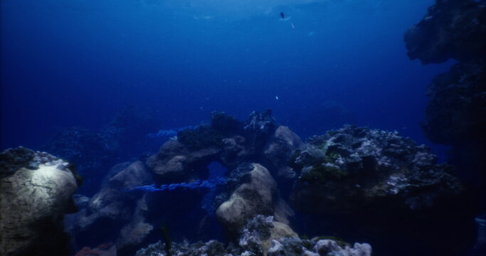 deep blue reef with dramatic shadows, rugged rock formations and scattered coral heads, low light creates mysterious mood, ideal setting for technical dive