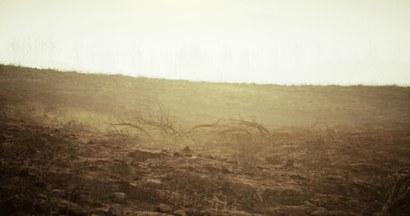Barren field with ploughed soil and low mist stretching to horizon lone farmer surveys fallow rows under sepia light, textured furrows and cracked earth convey