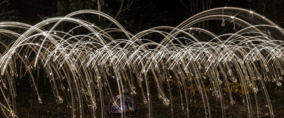 Naklejka premium Night Scene of Overlapping Light Trails Like Fishhooks in an Ornamental Garden Decorated for Holidays, Long Exposure and Motion Blur, Light Painting Photography