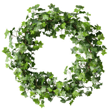 Ivy wreath photo isolated on Transparent Background