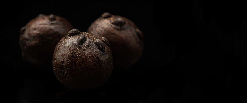 Macro shot of three glossy, hard, dark brown cherimoya seeds