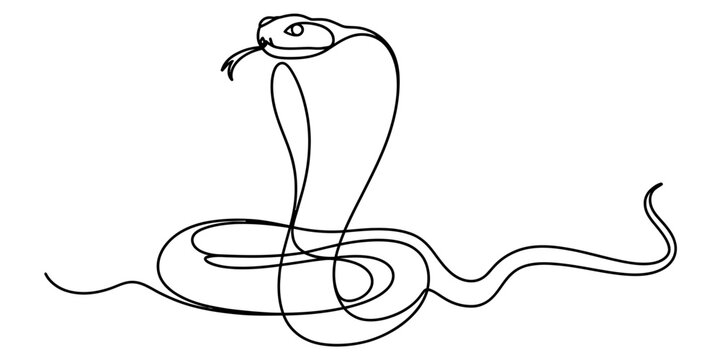 A minimalist continuous single line art drawing of a striking cobra snake illustration Vector, illustration