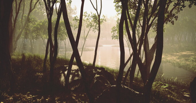 misty forest shore at dawn sunlight filtering through tall trunks, soft fog hovering over lake, reeds and dewy undergrowth catching golden glow, tranquil