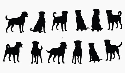 Silhouetted Companions: A captivating composition presents a collection of canine silhouettes, showcasing the grace and versatility of our faithful companions
