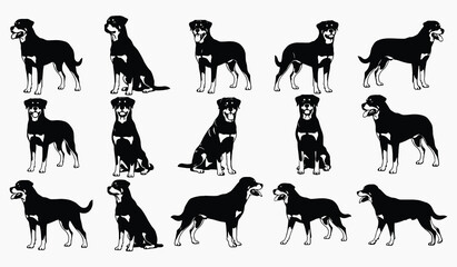 Loyal Companion: An illustrative portrayal of a loyal, sturdy Rottweiler, showcasing its distinctive black and tan coat, exuding strength and confidence.