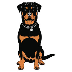 Rottweiler Portrait: A proud and well-mannered rottweiler, with its distinctive markings and gentle gaze, sits patiently, exuding a sense of loyalty and charm.