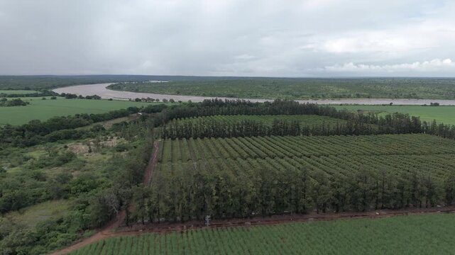 Aerial drone footage flying over expansive farmland toward a river experiencing flooding near Kruger National Park
