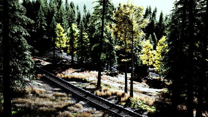 Obraz premium Autumn forest track winding through pines, dappled sunlight and golden foliage highlight grassy meadow beside narrow railroad, curving track leads eye into