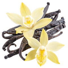 Vanilla flower pods and sticks isolated on white or transparent background