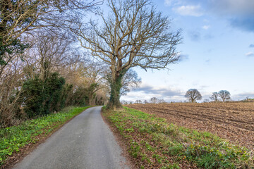A view along a country road alongside farmland, on a sunny December day