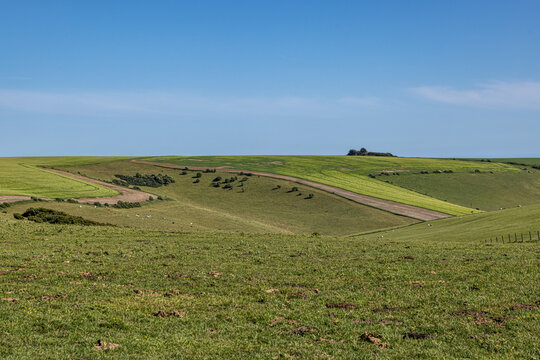A rural Sussex view on a sunny summer's day