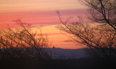 Sunset colors the sky with bare tree silhouettes in the foreground