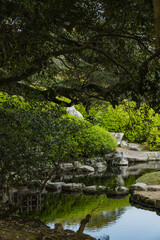 日本　岡山県岡山市北区後楽園の日本庭園の風景