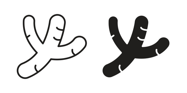 Ginger icon set. Black icon on white background