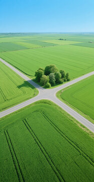 Aerial view of a crossroads in vibrant green agricultural fields under a clear blue sky, with intersecting roads forming a symmetrical pattern
