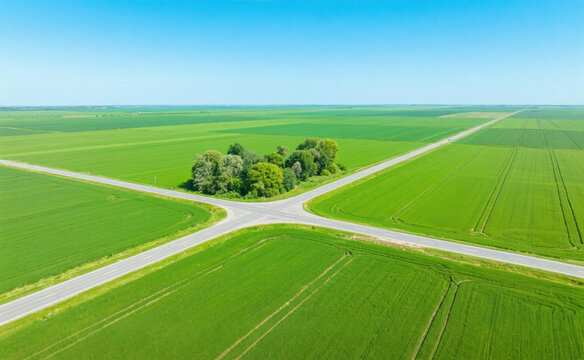 Aerial view of a crossroads in vibrant green agricultural fields under a clear blue sky, with intersecting roads forming a symmetrical pattern