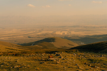 Fototapeta premium Suusamyr Valley at sunset in Kyrgyzstan