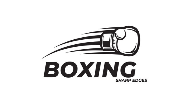 A dynamic black and white logo features a boxing glove with speed lines and the word boxing high quality professional detailed