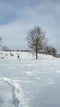 Ruhige Winterlandschaft mit B&auml;umen und blauem Himmel,Ruhige Winterlandschaft mit schneebedeckten B&auml;umen und hellem blauem Himmel. Die Szene vermittelt Stille, Weite und Entschleunigung.