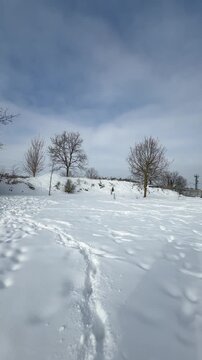 Winterliche Baumlandschaft unter klarem Himmel,Verschneite B&auml;ume in einer ruhigen Winterlandschaft unter hellem Himmel. Sanfte Farben und klare Strukturen erzeugen eine friedliche Atmosph&auml;re.
