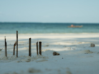 Alte Holzpf&auml;hle ragen bei Ebbe aus dem wei&szlig;en Sandstrand von Sansibar