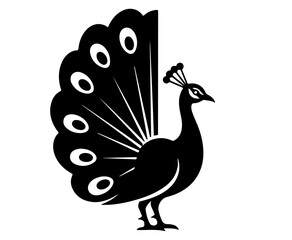 Obraz premium A black silhouette of a peacock with its vibrant tail feathers spread