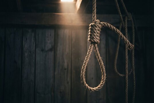 Dramatic lighting highlights a coarse rope hangmans noose knot hanging in a dark wooden barn