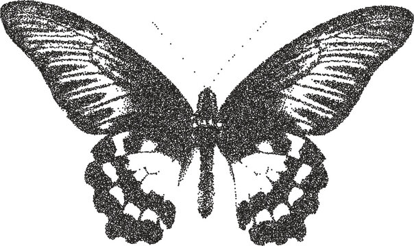 Butterfly y2k retro stipple art wings brutalist halftone vector png transparent, insect 2000s photocopy effect tattoo aesthetic