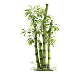 Naklejka premium A cluster of bamboo stalks against a black background