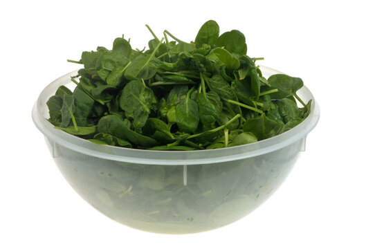 Feuilles d'&eacute;pinards fra&icirc;ches dans un saladier en plastique en gros plan isol&eacute;es sur fond blanc