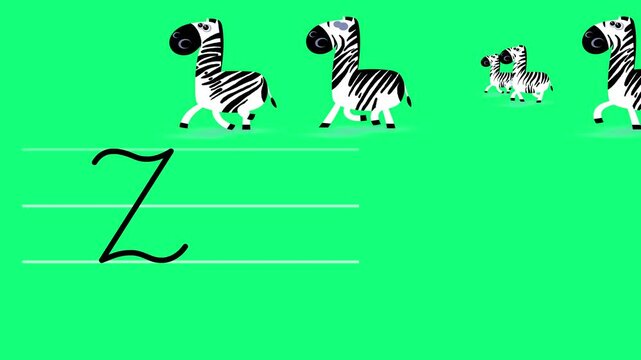 Z letter writing like zebra color cartoon animation. A compatibile part of the alphabet serie. Handwriting educational style for children. Good for education movies, presentation, learning alphabet.