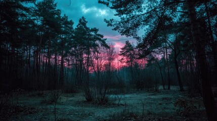 Obraz premium Mystical Forest at Twilight with Colorful Sky.