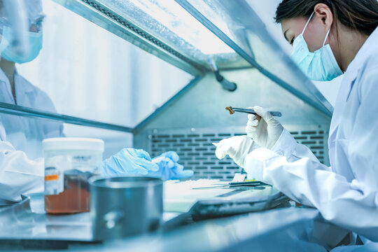 pathologist preparing tissue biopsy sample for microscope slide. Medical scientist analyzing disease diagnosis in hospital laboratory. Lab technician analyzing dna sample in sterile research facility.