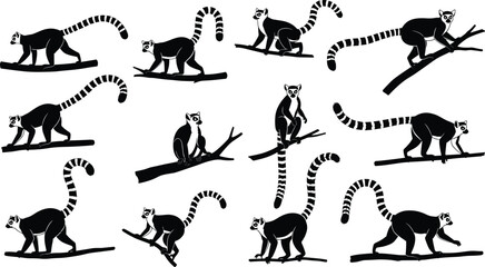 Ring tailed lemur silhouettes collection in various poses, wild primate animals on branches, black wildlife icons set, tropical forest monkey illustration isolated on white background © Saera