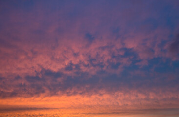 Fototapeta premium Beautiful pink clouds in the blue sky. Summer sunset (background) 