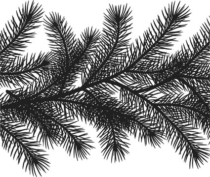Vintage pine branch silhouette, black spruce needle border vector, hand drawn evergreen fir tree foliage for Christmas card design