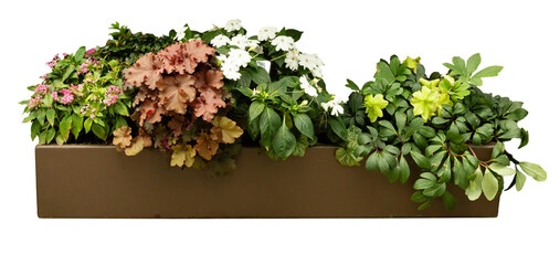 A rectangular planter filled with various plants and flowers is placed on a transparent background....