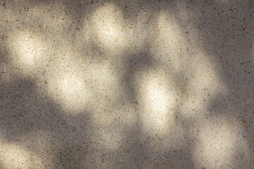 Soft shadows of tree branches and leaves cast by strong sunlight onto a light textured wall,...