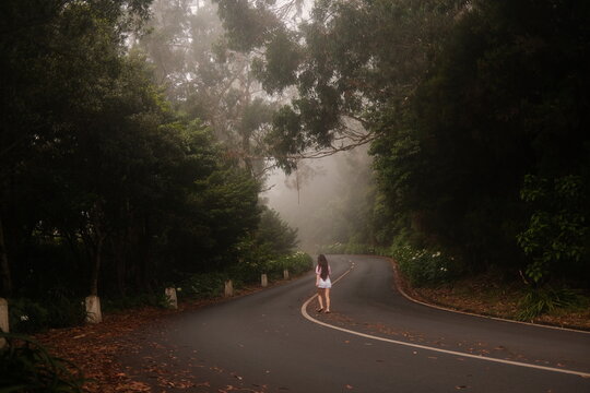 Young Woman Walking Alone on Misty Forest Trail Surrounded by Lush Green Trees