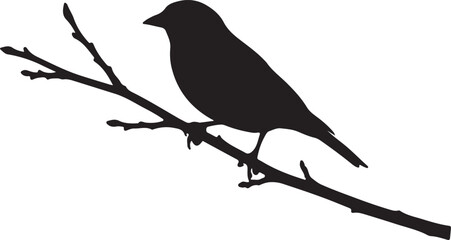 Goldfinch on mini branch branch on white background.