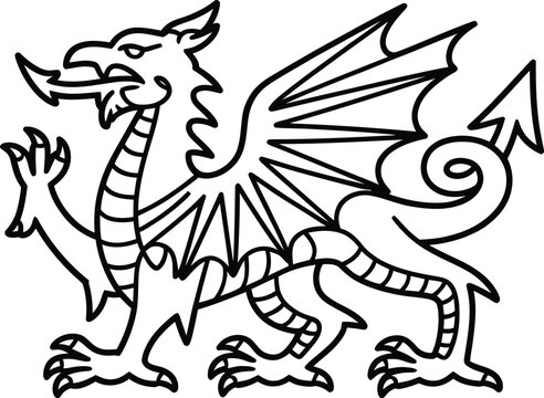 Welsh Dragon outline illustration in black and white minimalist style isolated on white background