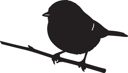 Obraz premium Titmouse on mini branch branch on white background.