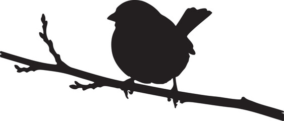 Tree Sparrow sitting on mini branch branch on white background.