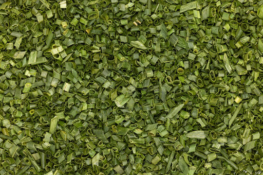 Full frame close up macro shot of dried chives