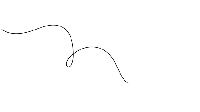 squiggle line continuous one line drawing animation, Squiggle line animation continuous one line drawing, Squiggle line animation continuous one line drawing, Abstract hand drawn dividing thin wave